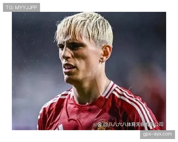 加纳乔在阿根廷国家队的定位解析